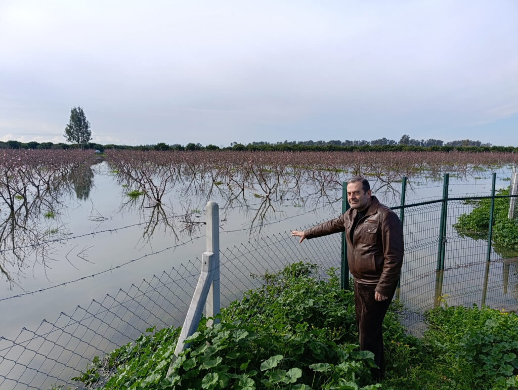 Çukurova tarımı 2026’da aşırı yağışların baskısı altında